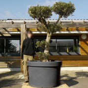 pot geant pour arbre-d105 x h70 cm - anthracite
